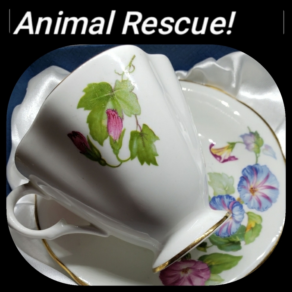 3 for $40 Bundle Sale: Vintage Clarence Bone China teacup/saucer